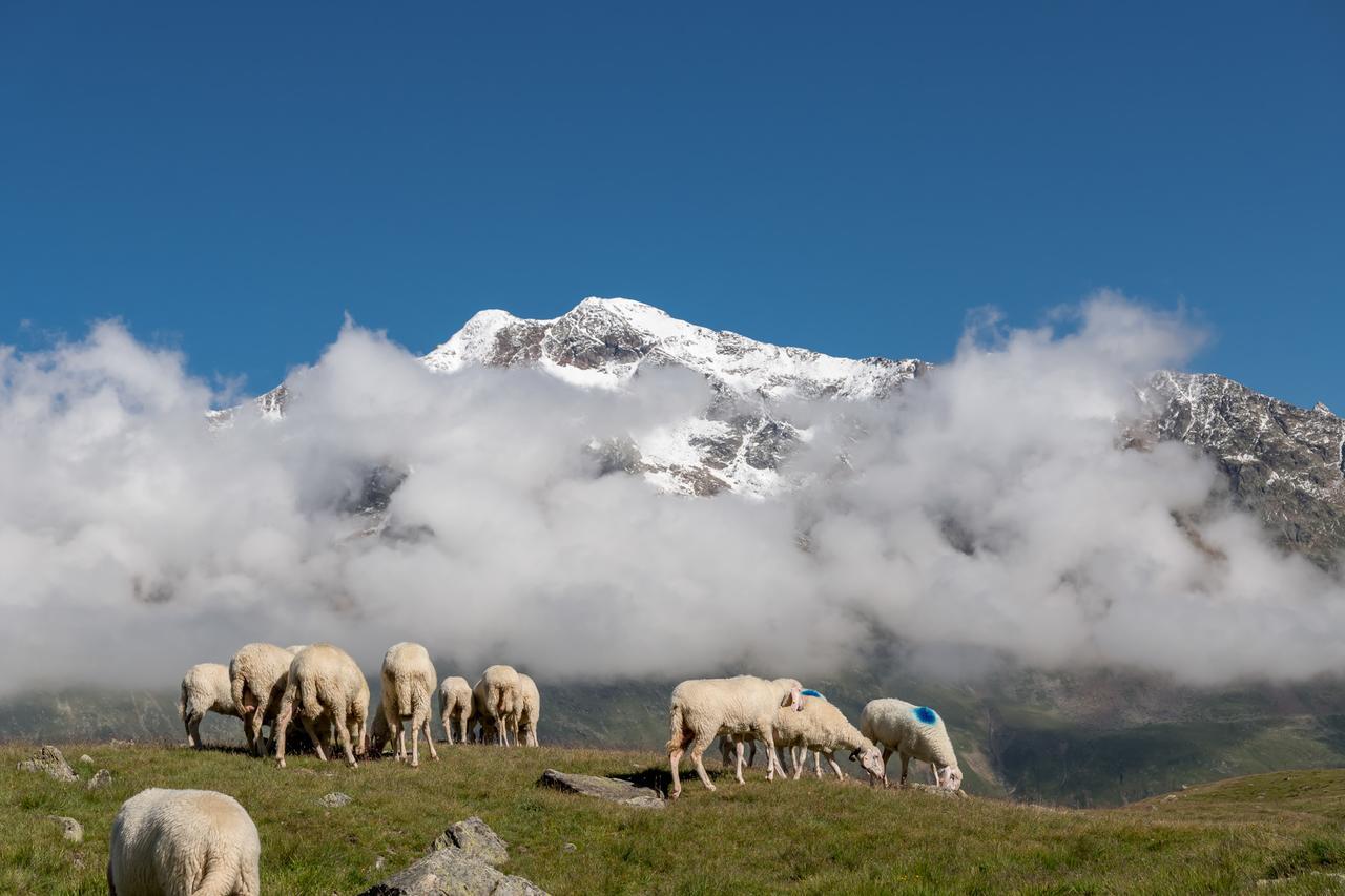 Natur-&Alpinhotel Post Vent Exteriör bild